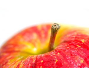 health coach