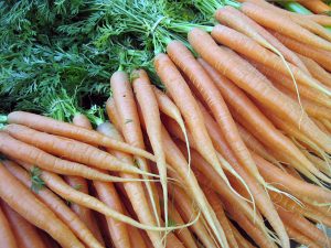 carrot