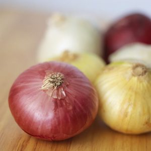 onion