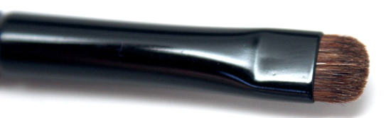 Wayne Goss Brush 07