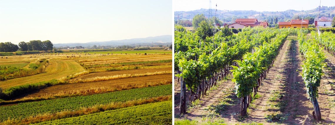 Scenic Tour Through Tuscany Region, livorno, trip, destination, tour