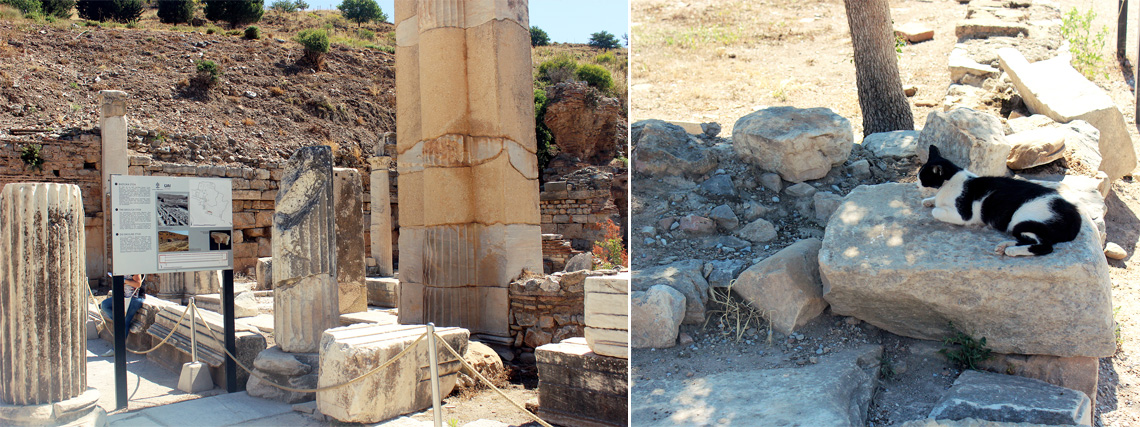 The entrance of Ephesus & a resting stray cat under the shade