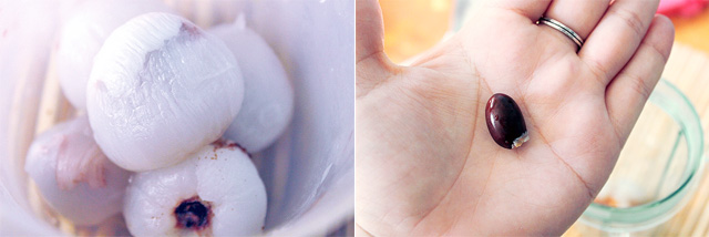 UnPeeled Lychee & Seed