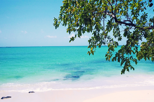 3 Reasons Why You Should Book a Tropical Vacation, destination, trip, planning, how to, tips, pinterest, beaches, exotic