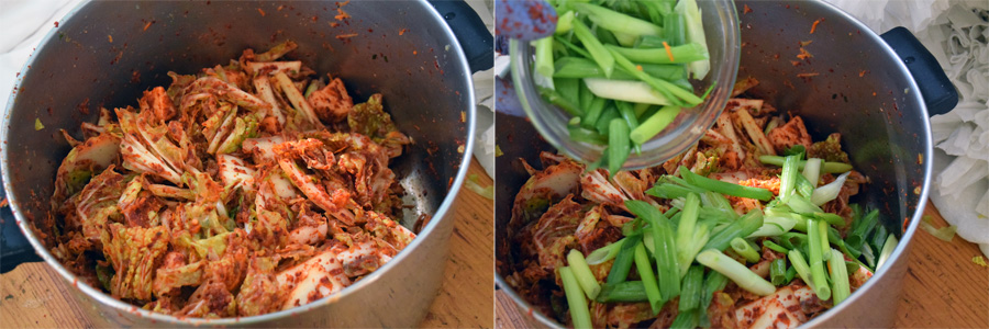 vegan, vegan recipes, kimchi, vegan kimchi, how to make, recipe, korean food, spicy, dishes, cooking, guide, tutorial, foodie, food blogger, blogger, food, veganism