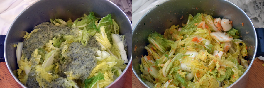 vegan, vegan recipes, kimchi, vegan kimchi, how to make, recipe, korean food, spicy, dishes, cooking, guide, tutorial, foodie, food blogger, blogger, food, veganism