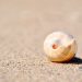 Word of Life Series: Be Oceanic