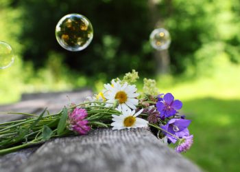 Word of Life Series: Be A Romantic