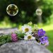 Word of Life Series: Be A Romantic