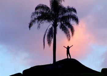 Word of Life Series: Up Your Wattage