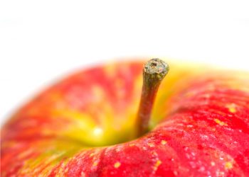 What is a Health Coach?