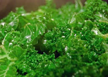 Hail Kale