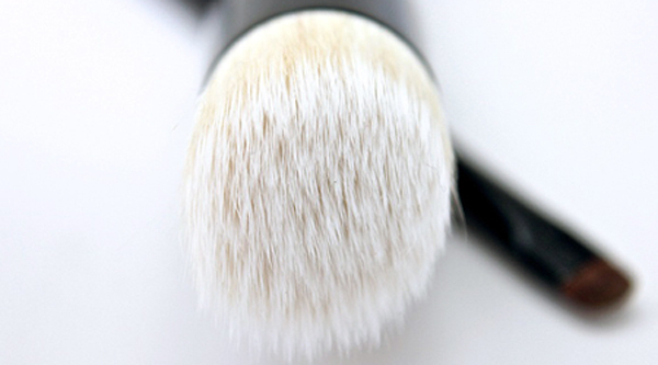 Wayne Goss Makeup Brush Collection Review
