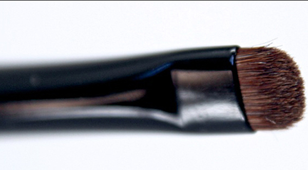 Wayne Goss Makeup Brush Collection Review