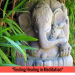 photo inspiration meditation
