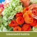 Photo of The Week: Celebrate Growth & Endless Possibilities inspiration earth day