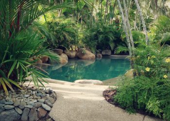Home Decor Tips: Getting the Pool You Deserve