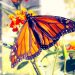 Meditate the Chic: Accepting The Things We Can't Change, photo inspiration, quote, modern chic magazine