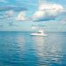 4 Tips to Look Fashionable & Stay Safe When Sailing, tips, fashion, sailing, bloggers, modern chic magazine