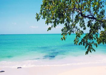 3 Reasons Why You Should Book a Tropical Vacation, destination, trip, planning, how to, tips, pinterest, beaches, exotic