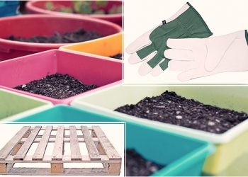 wood pallet, spring, garden, flowers, pots, chic diys, tutorial, gardening tips, how to plant, gardener, blog, modern chic magazine, tips, project, urban setting