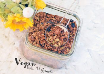 Quick & Easy Vegan Trail Mix Granola Recipe