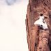 Females, Norm, gender equality, timesup, metoo, Aziz Ansari, women empowerment, time for change, women movement, gender roles, stereotypes, blogger, opinion, modern chic magazine