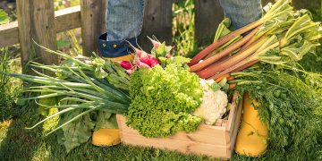 vegetables, fruits, healthy, growing your own garden, lifestyle, health, how to, farm fresh, organic, local grown, gardening, pesticides,